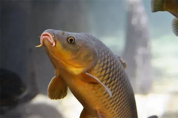 <a href=http://www.movno.net target=_blank class=infotextkey>|W(xu)У</a>.jpg