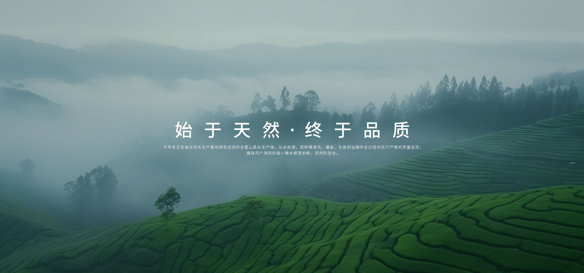 SM(jn)У@